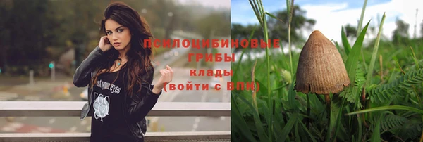 ПСИЛОЦИБИНОВЫЕ ГРИБЫ Верея
