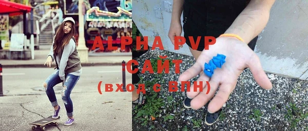 ПСИЛОЦИБИНОВЫЕ ГРИБЫ Верея