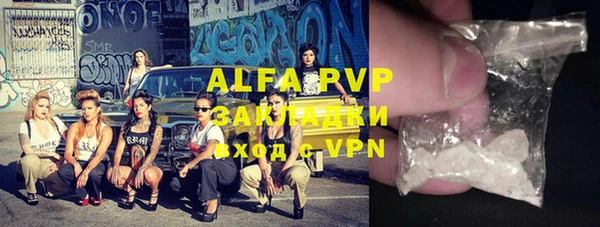 ПСИЛОЦИБИНОВЫЕ ГРИБЫ Верея