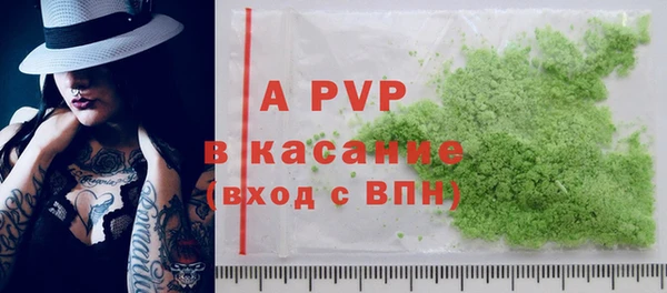 ПСИЛОЦИБИНОВЫЕ ГРИБЫ Верея
