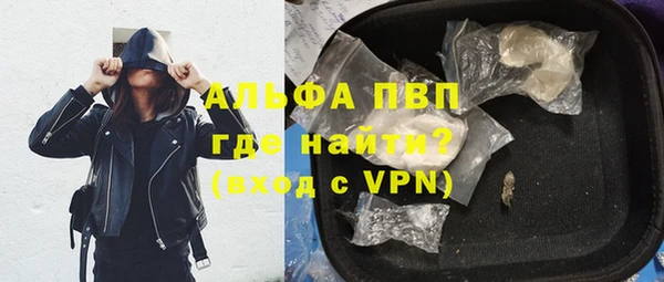 ПСИЛОЦИБИНОВЫЕ ГРИБЫ Верея